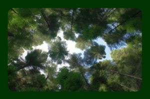 weather cards_Page_69